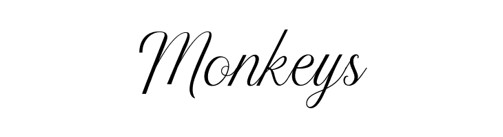 AkaylaScriptPERSONALUSE  Free Fonts Download