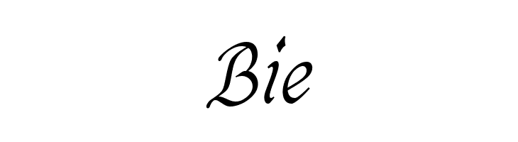 CaligrafLightPERSONALUSE  Free Fonts Download