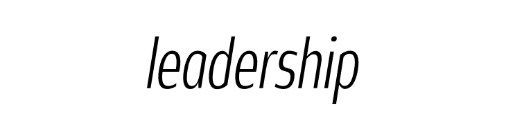 Rivera PERSONAL USE ONLY Light Italic  Free Fonts Download