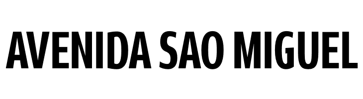 Rivera PERSONAL USE ONLY Bold  Free Fonts Download