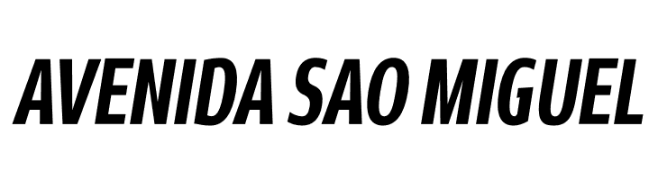 Rivera PERSONAL USE ONLY Bold Italic  Free Fonts Download