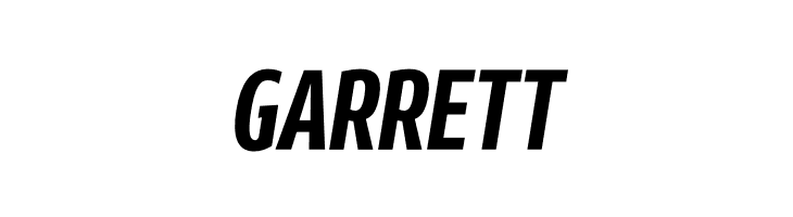 Rivera PERSONAL USE ONLY Bold Italic  Free Fonts Download