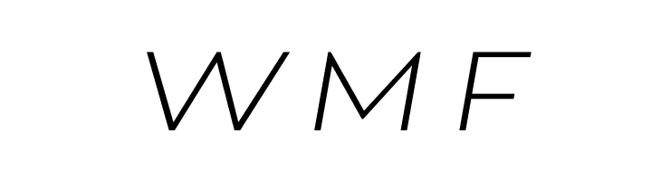 Gonzi Expanded PERSONAL USE Light Italic  Free Fonts Download