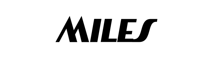 Artisual Deco Black Italic PERSONAL USE ONLY PERSONAL USE ONLY  Free Fonts Download