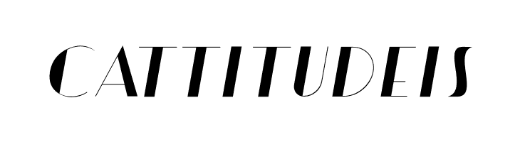 Artisual Deco Thin Italic PERSONAL USE ONLY PERSONAL USE ONLY  Free Fonts Download