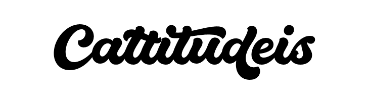 Quintal Script PERSONAL USE ONLY Regular  Free Fonts Download