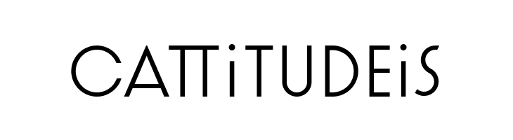 Artographie Thin  Free Fonts Download