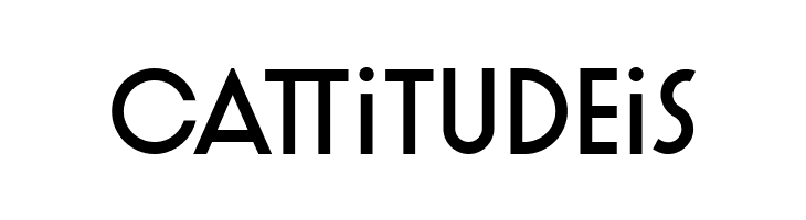 Artographie Medium  Free Fonts Download