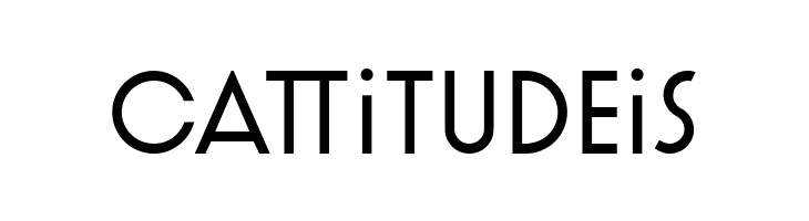 Artographie Light  Free Fonts Download