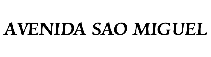 Silian Calligraphy Bold PERSONAL Regular  Free Fonts Download