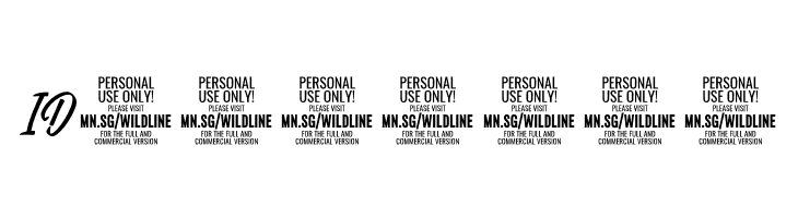 Wildline PERSONAL USE ONLY Regular  Free Fonts Download