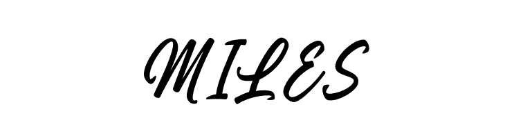 Wildline PERSONAL USE ONLY Regular  Free Fonts Download