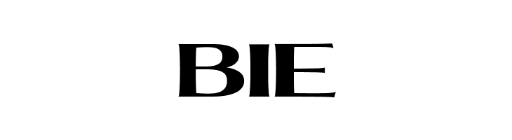 MollySerifEPERSONAL-Bold  Free Fonts Download
