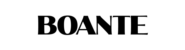 MollySerifNPERSONAL-Black  Free Fonts Download