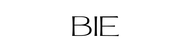 MollySerifEPERSONAL-Thin  Free Fonts Download