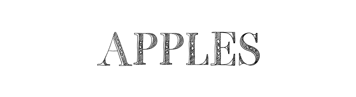 BB Petie Boy Medium  Free Fonts Download