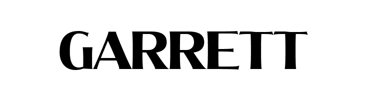 MollySerifNPERSONAL-Bold  Free Fonts Download