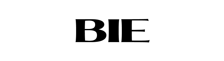 MollySerifEPERSONAL-Black  Free Fonts Download