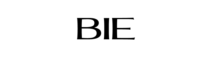 MollySerifEPERSONAL-Medium  Free Fonts Download
