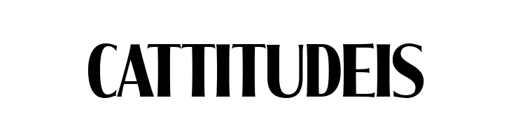 MollySerifXCPERSONAL-Bold  Free Fonts Download