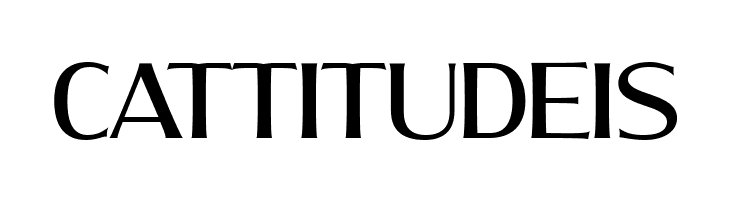 MollySerifNPERSONAL-Medium  Free Fonts Download