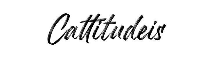 Mandoul Brush PERSONAL USE ONLY Regular  Free Fonts Download