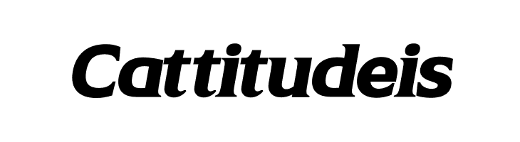 Aliey PERSONAL USE ONLY Bold Italic  Free Fonts Download