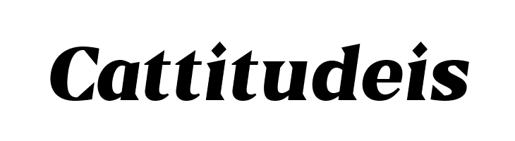 Blaak Black PERSONAL USE Italic  Free Fonts Download