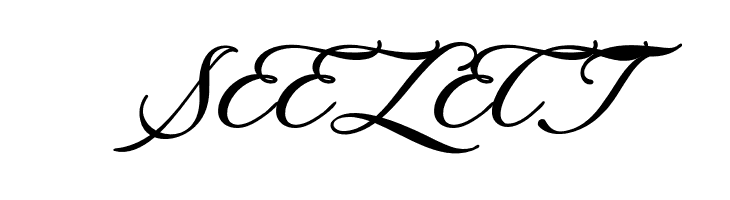 FargoItalicPERSONALUSE  Free Fonts Download