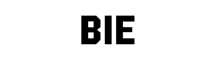 Holder Medium PERSONAL USE ONLY Regular  Free Fonts Download