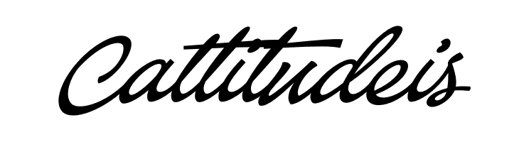 Baystar Script PERSONAL USE ONLY Medium PERSONAL USE ONLY  Free Fonts Download