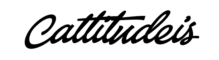 Baystar Script PERSONAL USE ONLY Bold PERSONAL USE ONLY  Free Fonts Download