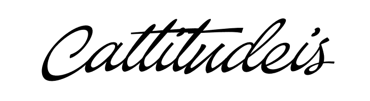 Baystar Script PERSONAL USE ONLY Light PERSONAL USE ONLY  Free Fonts Download