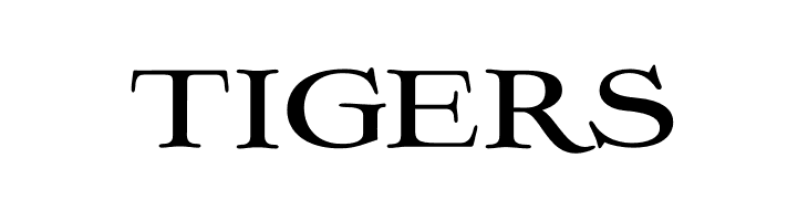 Ekorre PERSONAL USE ONLY Regular  Free Fonts Download