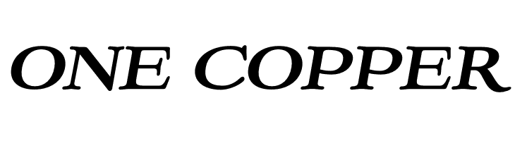 Ekorre PERSONAL USE ONLY Bold Italic  Free Fonts Download