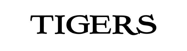 Ekorre PERSONAL USE ONLY Bold  Free Fonts Download