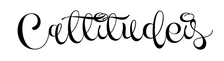 Novety Script PERSONAL USE ONLY Regular  Free Fonts Download