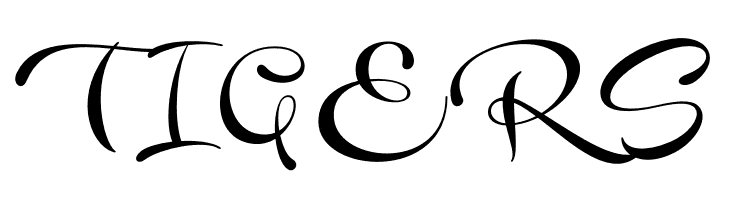 Novety Script PERSONAL USE ONLY Regular  Free Fonts Download