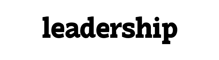 Hoyle PERSONAL USE ONLY Bold  Free Fonts Download