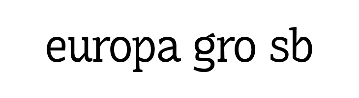 Hoyle PERSONAL USE ONLY Thin  Free Fonts Download