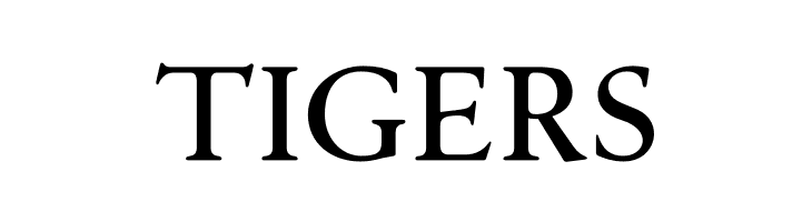 Silian Rail PERSONAL USE Light  Free Fonts Download