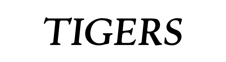 Silian Rail PERSONAL USE Italic  Free Fonts Download