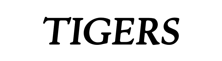 Silian Rail PERSONAL USE Bold Italic  Free Fonts Download