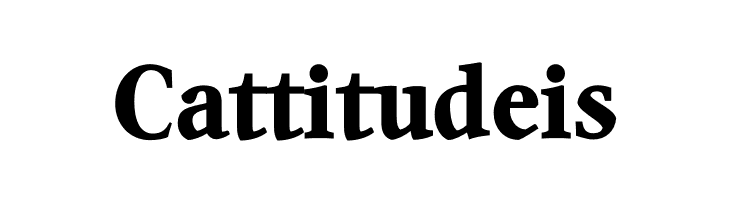 Quanton PERSONAL USE ONLY Black  Free Fonts Download