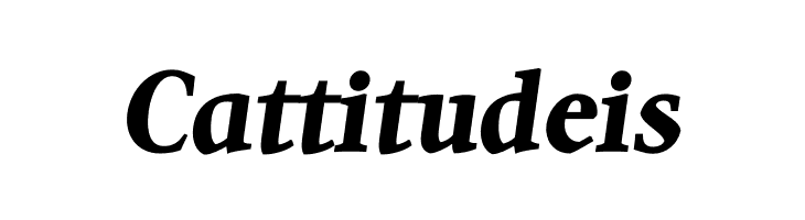Quanton PERSONAL USE ONLY Black Italic  Free Fonts Download