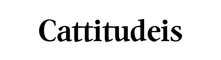 Quanton PERSONAL USE ONLY Bold  Free Fonts Download