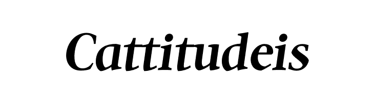 Quanton PERSONAL USE ONLY Bold Italic  Free Fonts Download