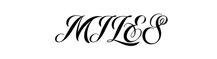 Starella Script PERSONAL USE  Free Fonts Download