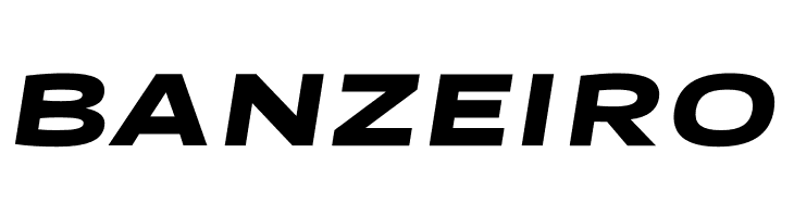 Canyon PERSONAL USE ONLY Black Italic  Free Fonts Download