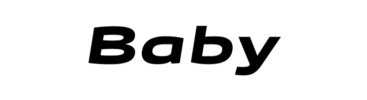 Canyon PERSONAL USE ONLY Black Italic  Free Fonts Download